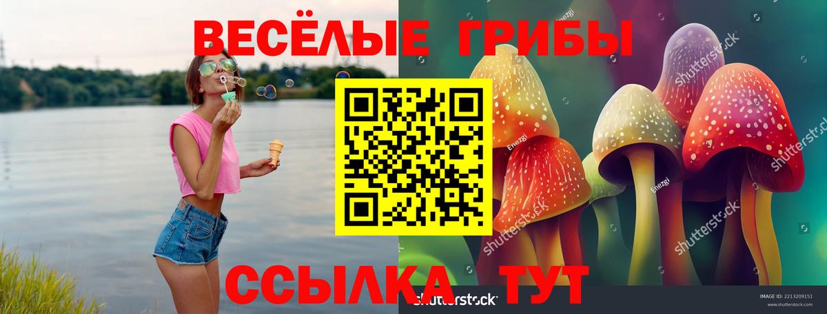 Уссурийск  сколько стоит  Вход с VPN  Галлюциногенные грибы Magic Shrooms 